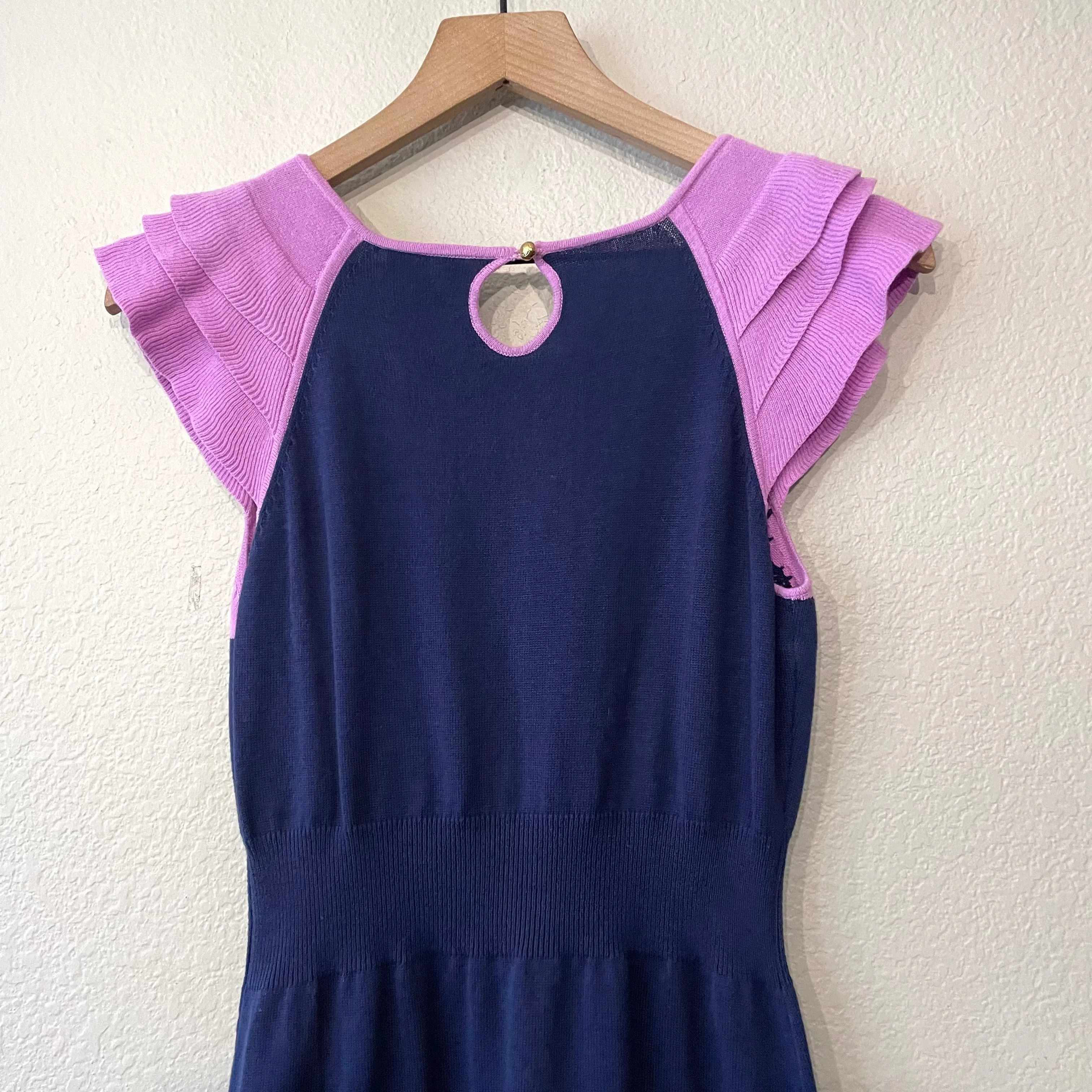 Ruffle Sleeve Sweater Dress