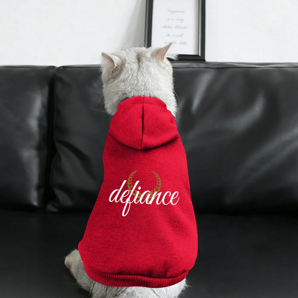 Small Dogs & Cats Hoodie