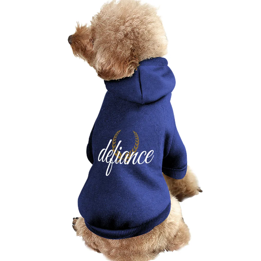 Small Dogs & Cats Hoodie