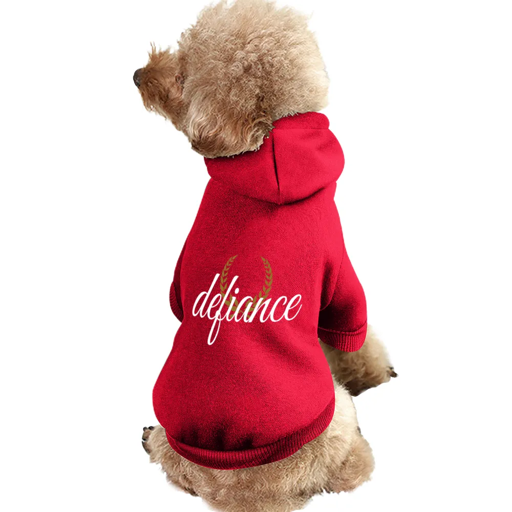 Small Dogs & Cats Hoodie