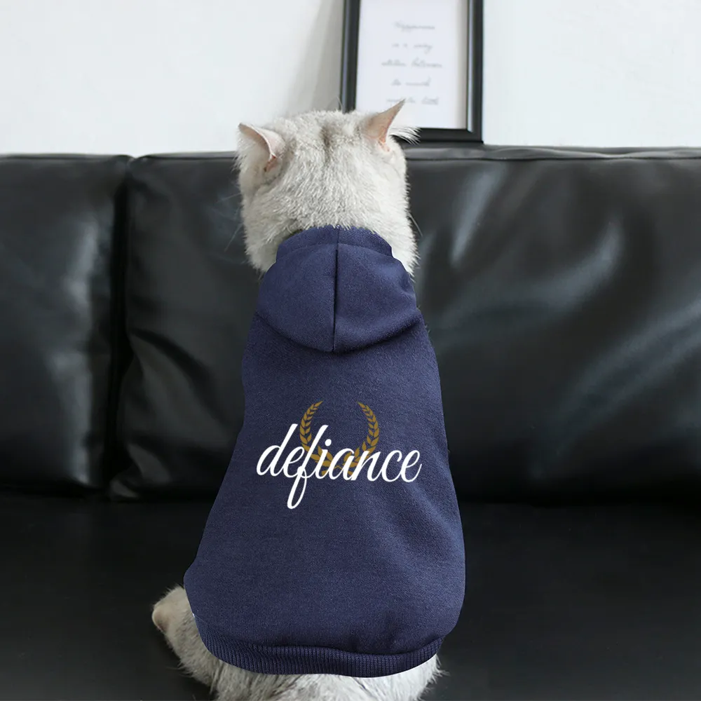 Small Dogs & Cats Hoodie