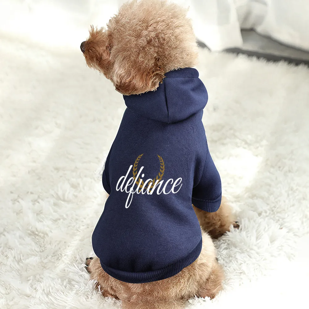 Small Dogs & Cats Hoodie