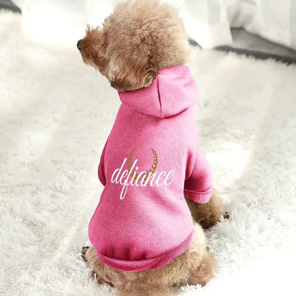 Small Dogs & Cats Hoodie