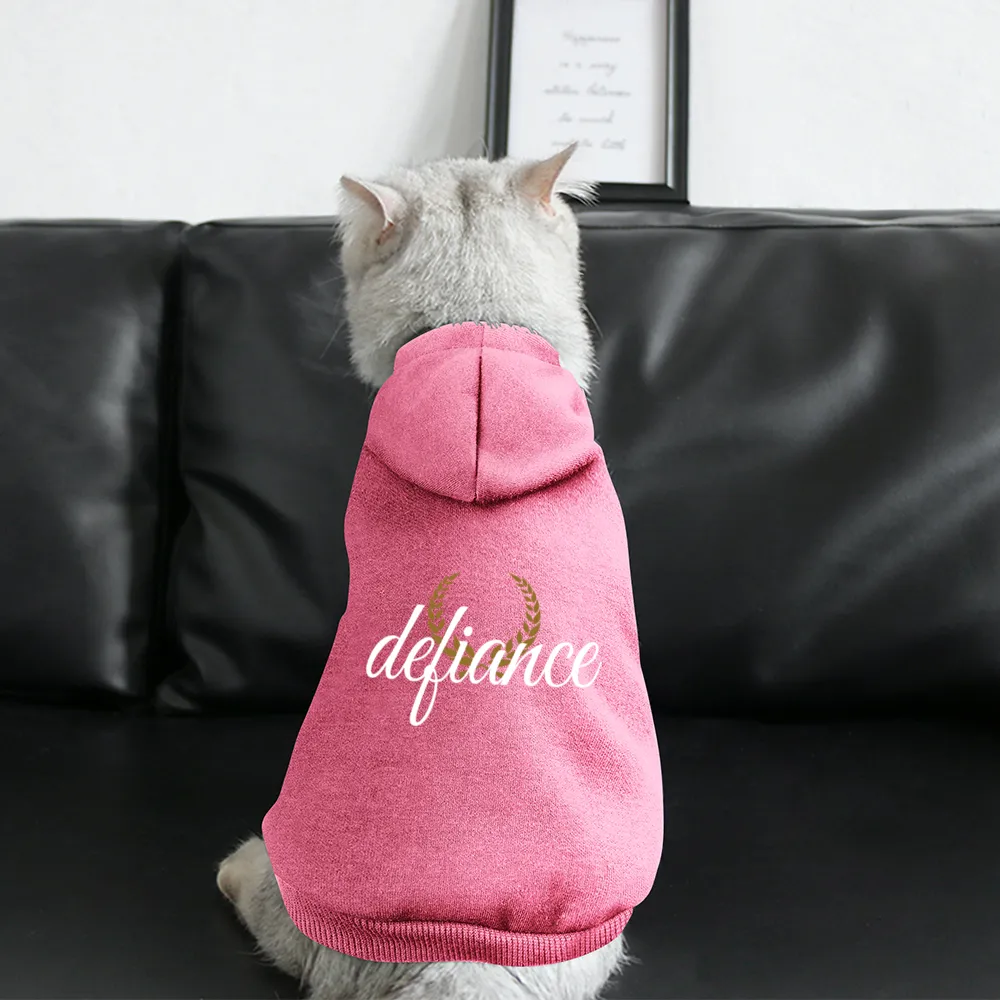 Small Dogs & Cats Hoodie
