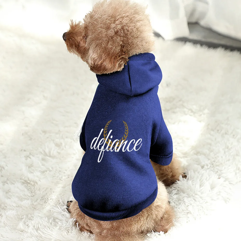 Small Dogs & Cats Hoodie